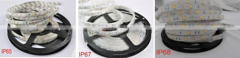rgb 5050 waterproof led 5m ip68 led strip light