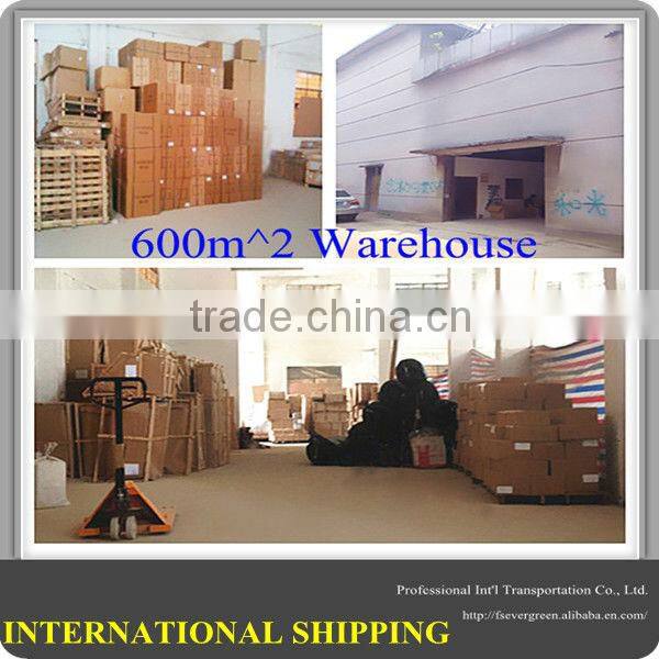 The Best Sea freight forwarding agents in Shanghai Shipping to worldwide