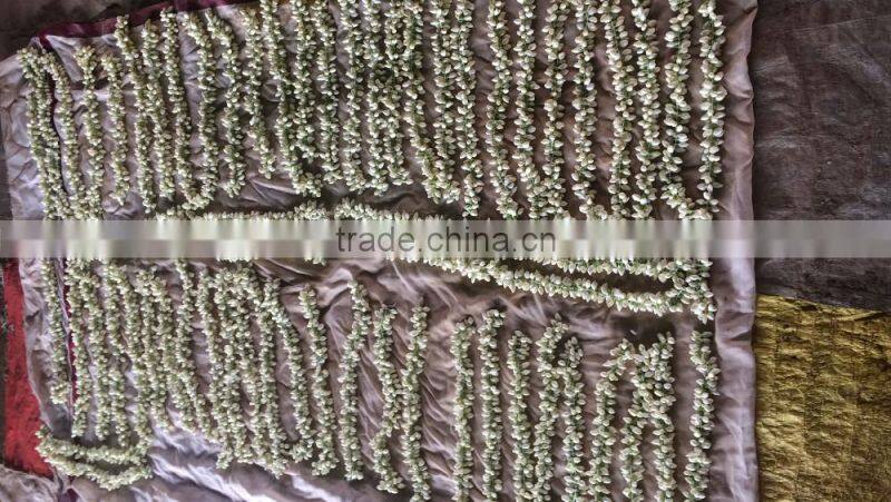 Fresh Jasmine Flower Exporter for / Importers in Malaysia / Singapore / Dubai / Canada / USA/ Uk / France / Germany