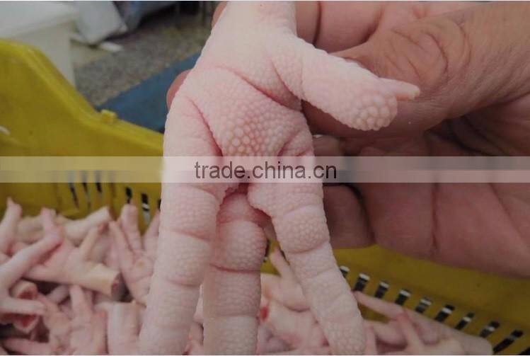 chicken breast
