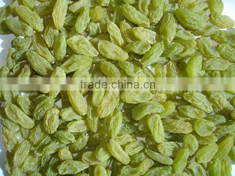HIGH QUALITY INDUSTRIAL RAISIN