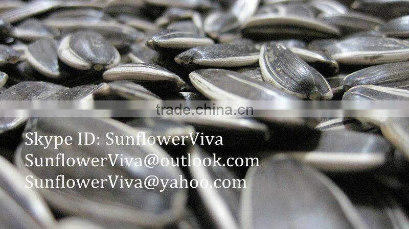 5009 24/64 sunflower seeds