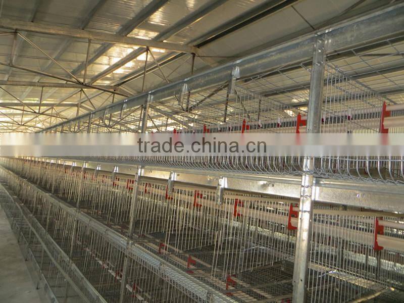 chicken cage for poultry farm for nigeria with best price