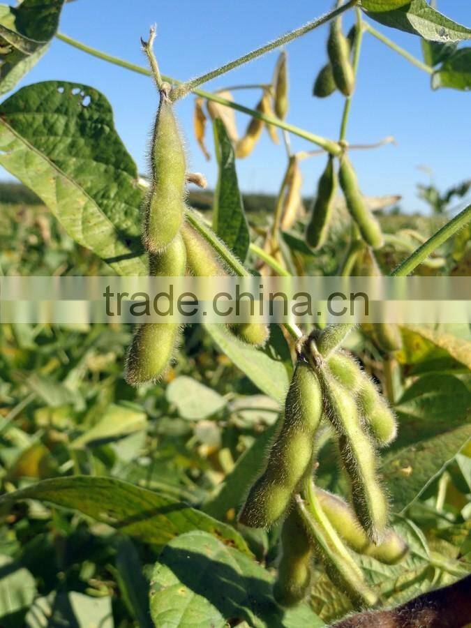 Home use bean threshing machine