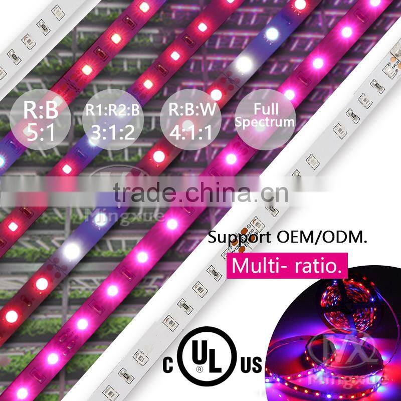 Red And Blue 6:1 Grow Led Light Flexible Waterproof Led Grow Strip