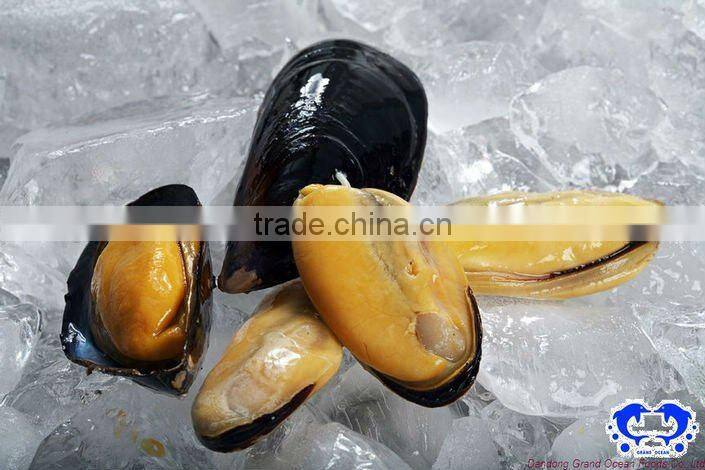 frozen mussel with half shell