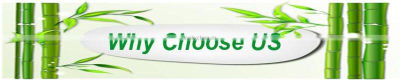 Modern 5 tiers bamboo display shelf/rack