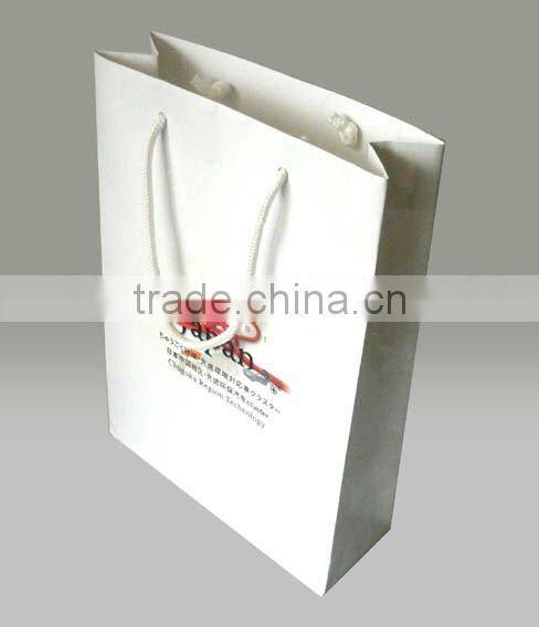 Paper Bag for Shop