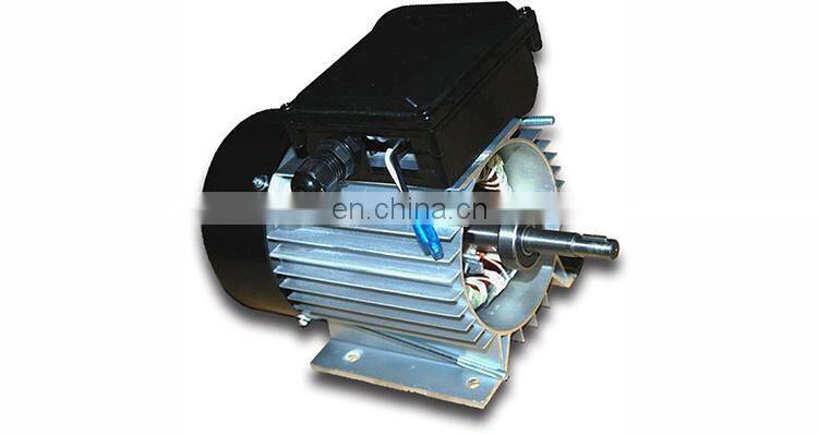 S113 120v ~ 230v Single Phase high speed 3000 rmp Asynchronous Electric AC Motor For waterl Pump