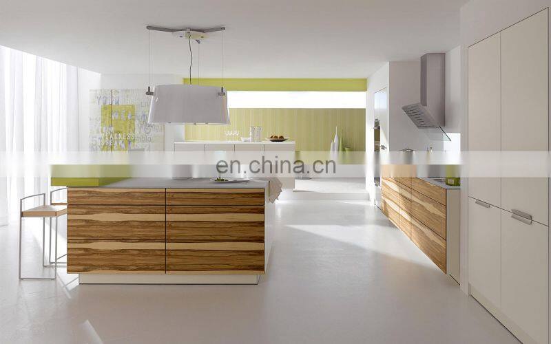 Australia market kitchen cabinet designs modern Light color kitchen cabinets