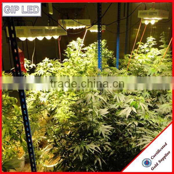 grow light reflector hood