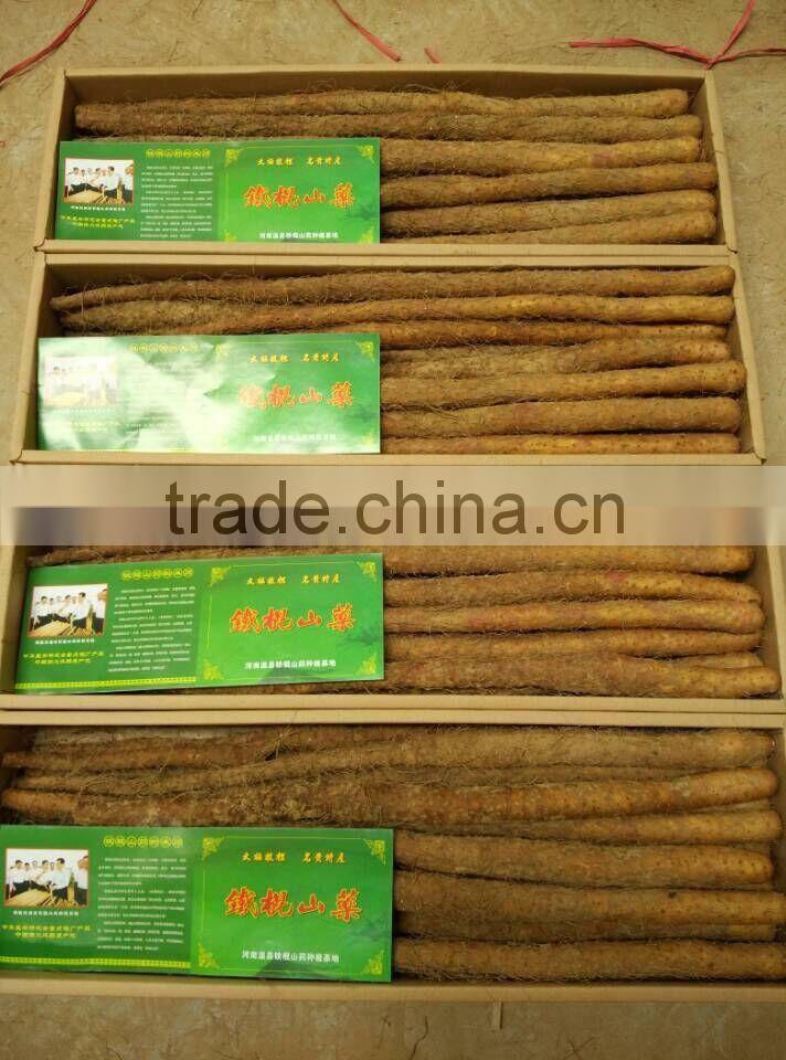 Chinese Fresh Wild Yam