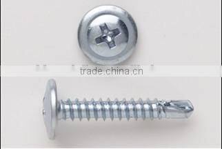 wafer head needle point screw BZP