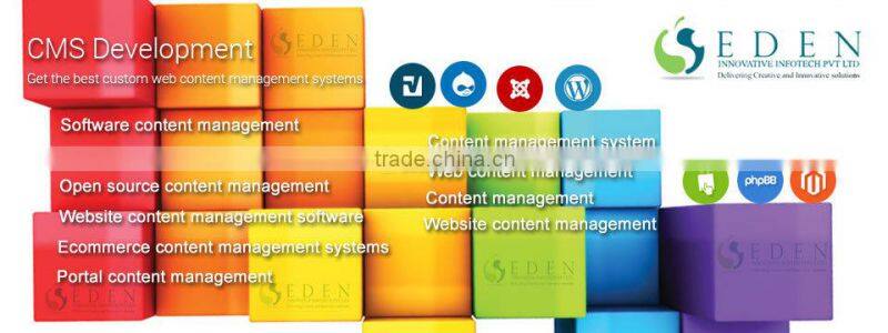 Professional CMS web design