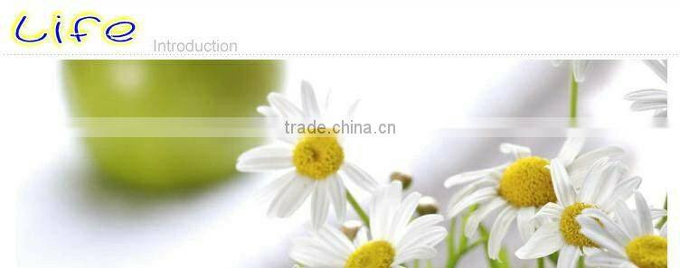 22pcs bone china decal tea set