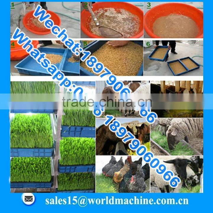 WHIR Saudi Arabia with SASO certificate hydroponic hydroponics cultivation for growing fodder grass,barley,wheat