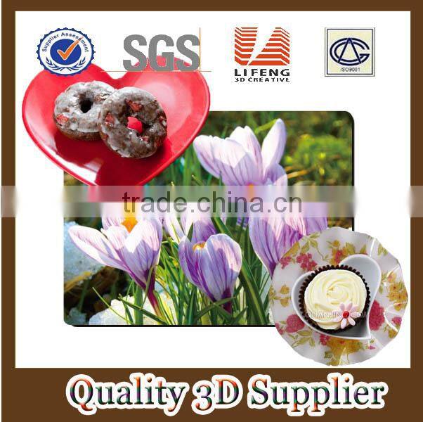 2015 factory supply creative lenticular PP/PET 3D table mat with four color printing