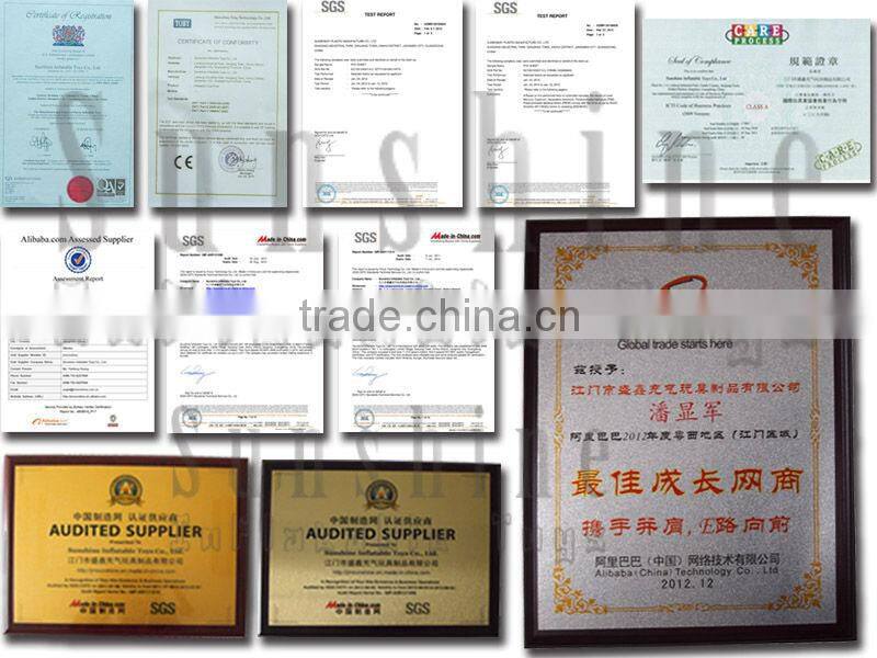 new products 2014 water slide / giant inflatable water toyscrazy/ inflatable water toys