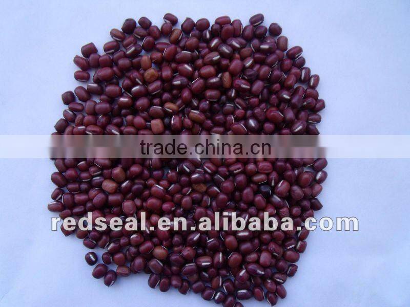 Dark red kidney beans for sale