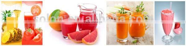 fresh fruits industrial fruit juice extractor small manufacturing machines