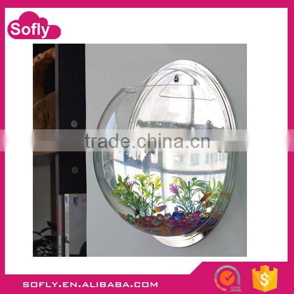 Cheap Perspex Discount Aquariums, Aquarium Products , Fresh Water Aquarium Fish