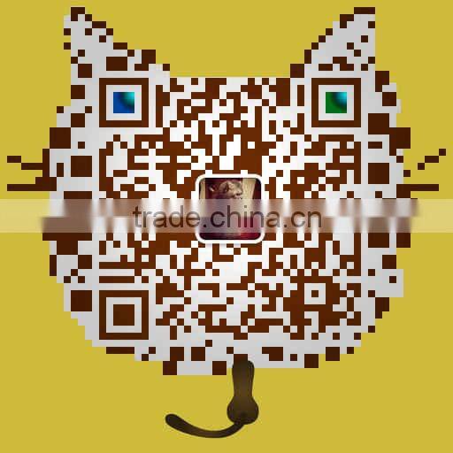 Hot Direct Factory Stock Storage 256GB SSD