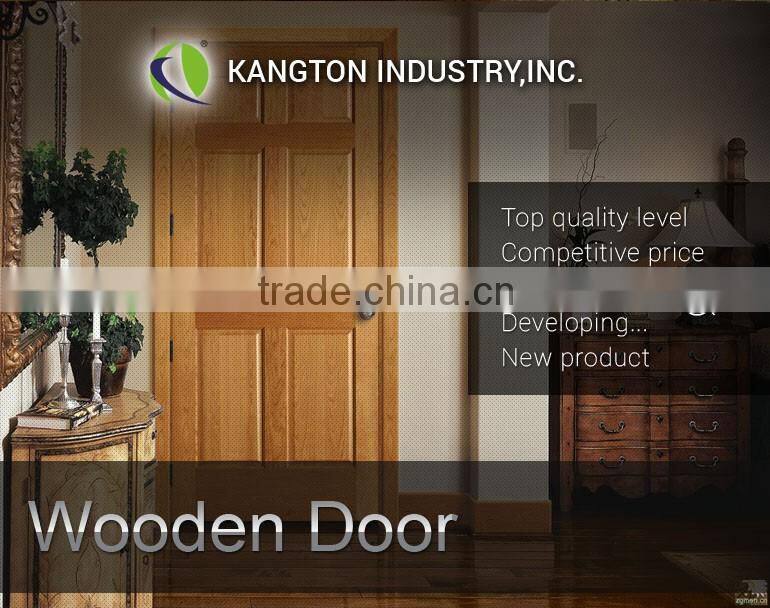 front door designs with cheap flush door price