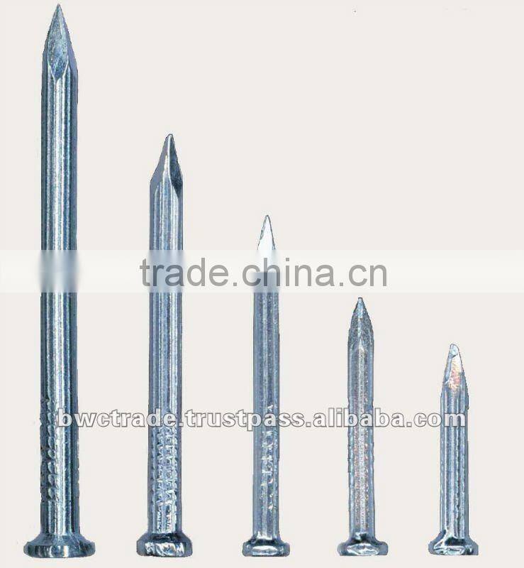 BWG Umbrella Head Roofing Nails