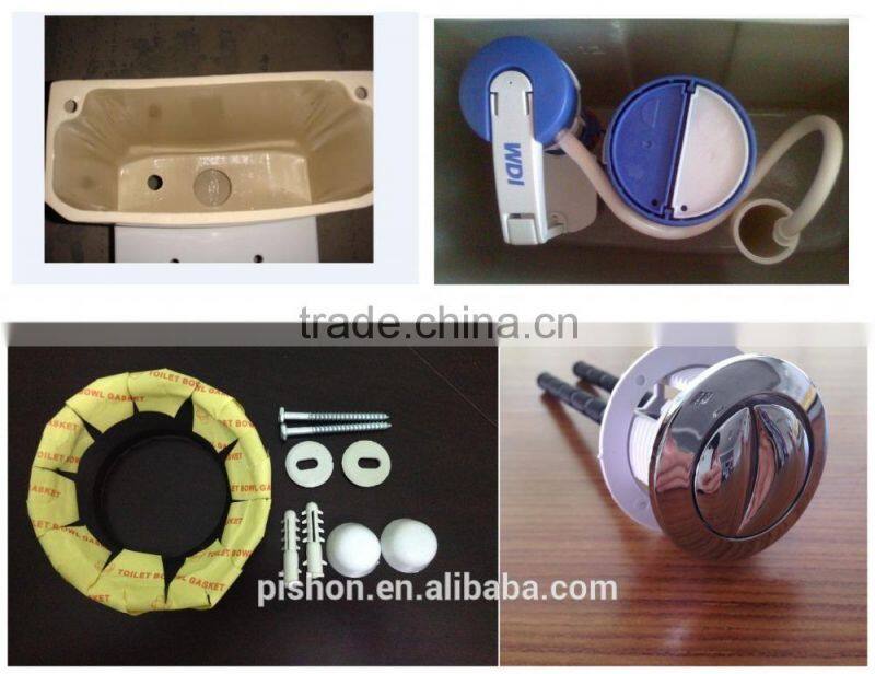 Hot sale sanitary ware Ceramic Siphon Flushing Composting Toilet