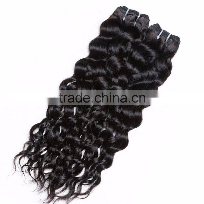 ladies human hair Cambodian/Brazilian/Peruvian/Burmess/Malaysian curly wavy hair