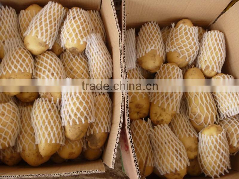 fresh potatoes exporters