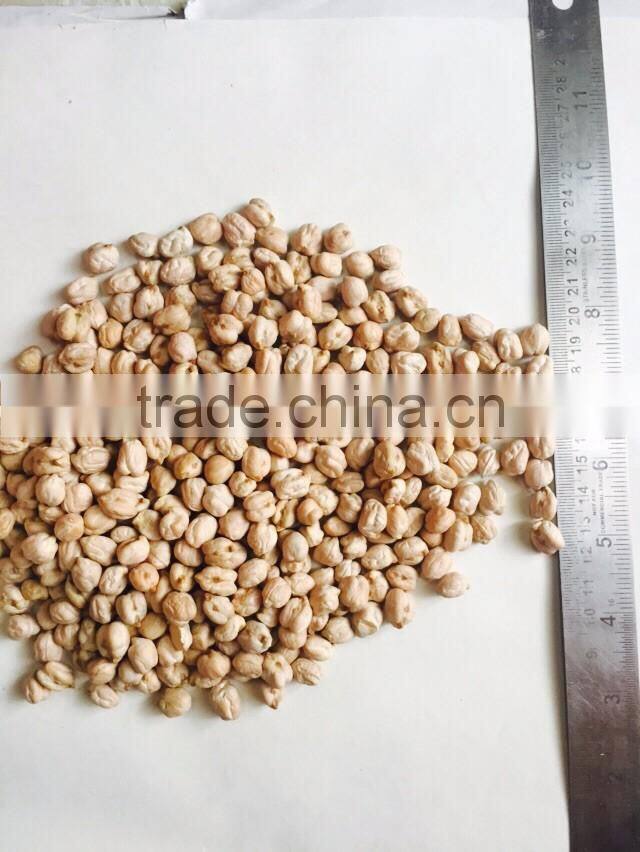 Chick pea