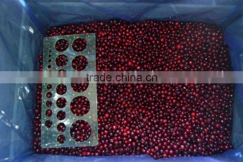 Frozen lingonberry