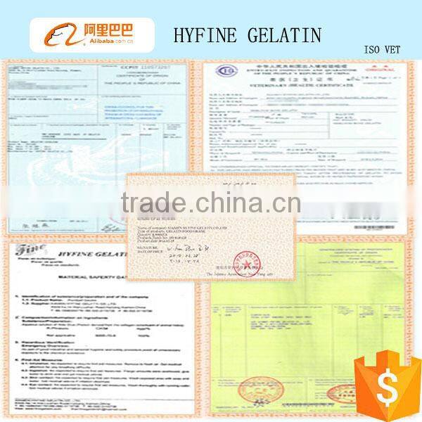 High quality hydrolyzed bovine Collagen powder for sports beverage