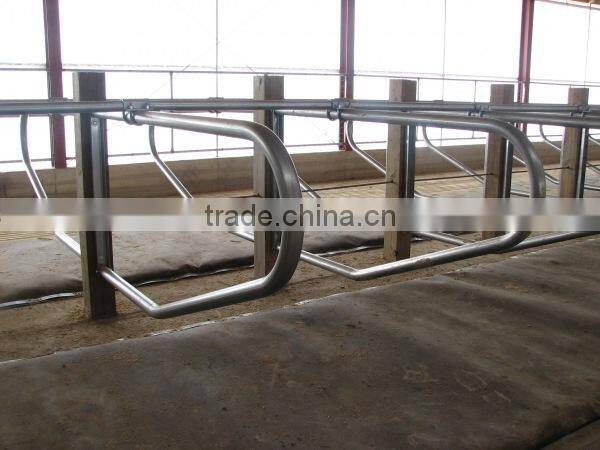 Galvanized Cattle Loop Stalls for livestock farm