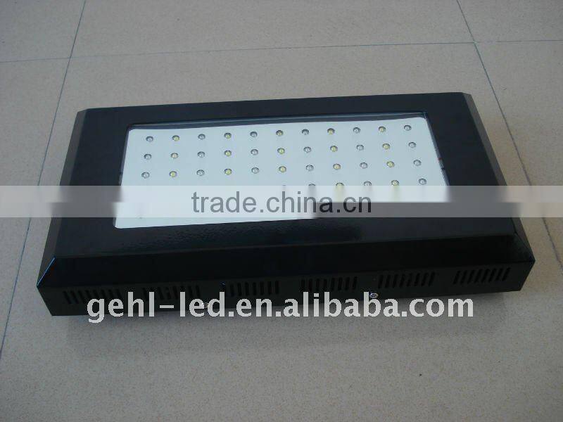 Amazing Dimmable 55*3w LED Aquarium Tanks For Coral Reef