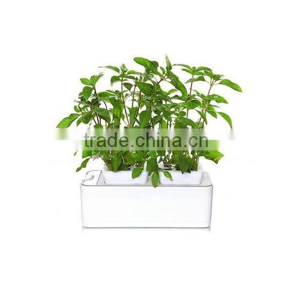2014 newest office decoration mini smart garden