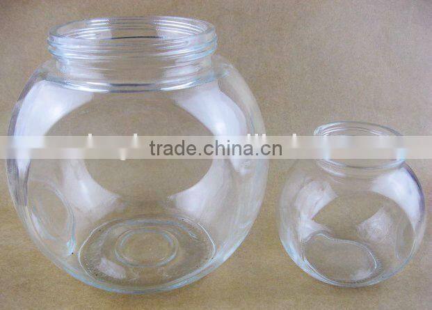 clear glass fish tank /fish bowl