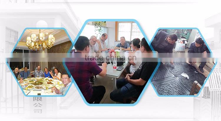 Custom PP 0.1-0.2mm thick film plastic extrusion moulding