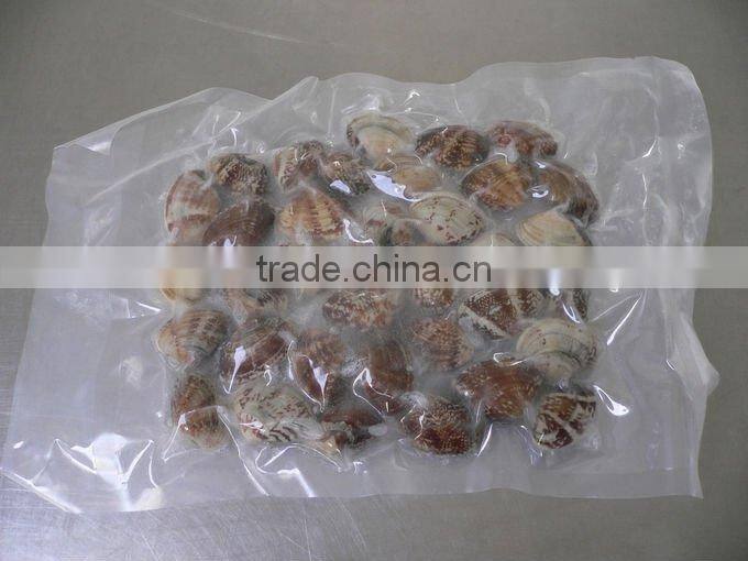 Japanese food supplier frozen delicious fresh whole boiled clam for sale