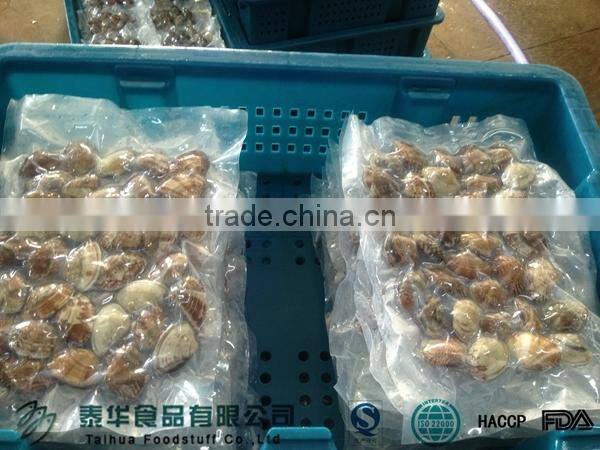 The price of different kind scallop frozen IQF bay scallop for sale