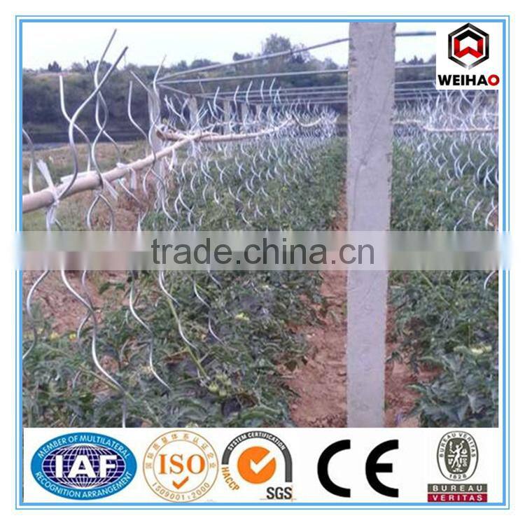 (galvanized or PVC coated Tomato Support Stick