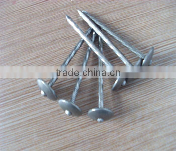 BWG13X 1-3/4" electro galvanized roofing nail with umbrella head