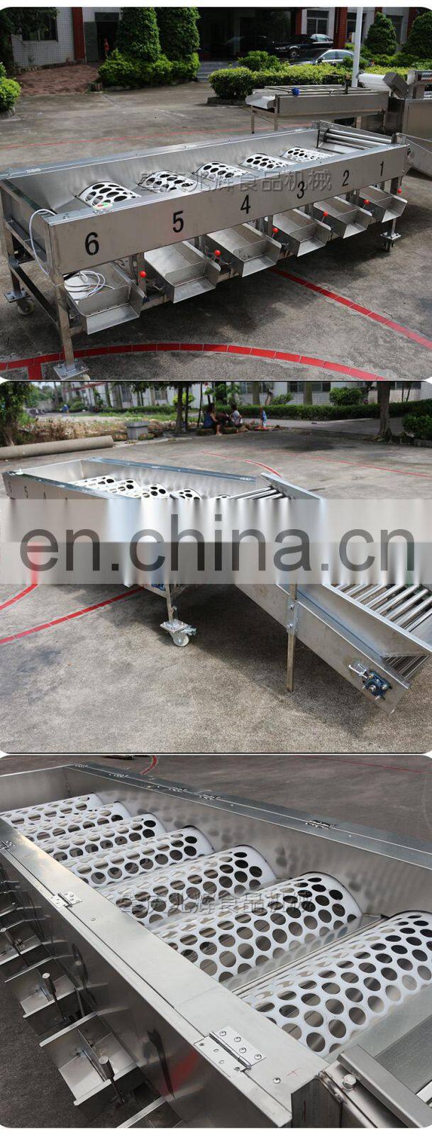 2018 High quality commercial apple grader fruit and vegetable grader on sale
