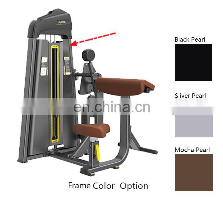 Best Quality Camber Curl Triceps Gym Equipment From China