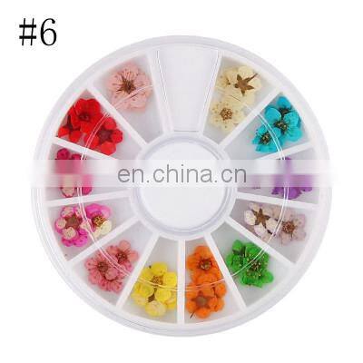 Factory wholesale dry flower nail art for dried flowers sale