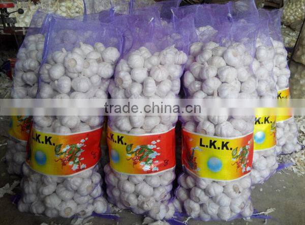 We can supply fresh garlic/ginger/potato/onion/chilli