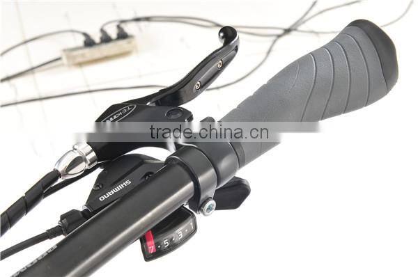 Mountain electric bike