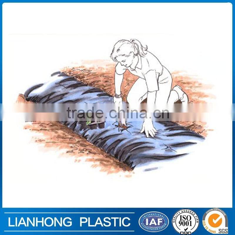High Quality Biodegradable Plastic Preventing Grass Growth Ground Cover Fabric