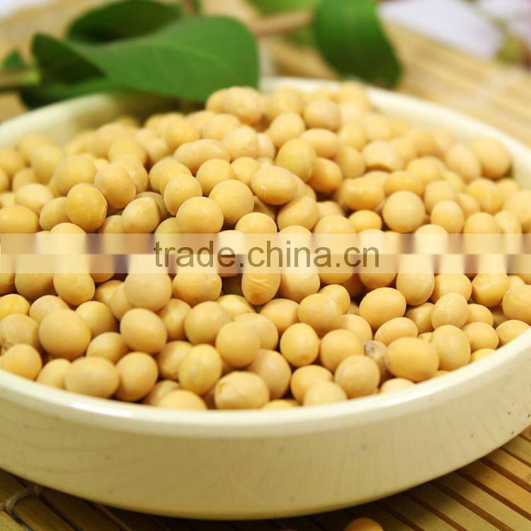 Chinese Style Soft Tofu Pudding